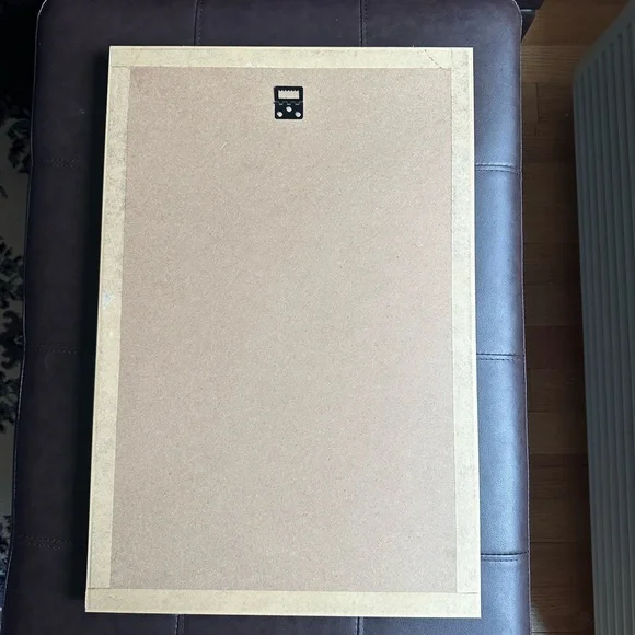 Botanical Framed Cactus Canvas Wall Art Decor - Picture 3 of 4